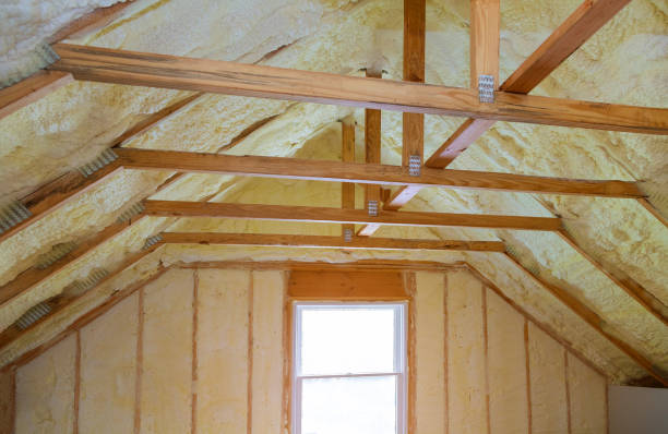 Best Specialized Insulation Services in New Buffalo, MI