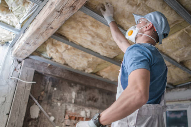 Best Fiberglass Insulation in New Buffalo, MI