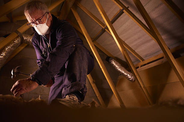 Best Geographic-Specific Insulation Services in New Buffalo, MI