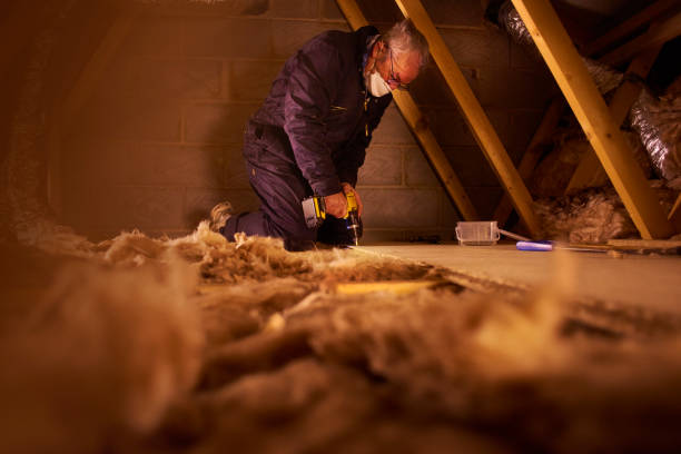 Best DIY Insulation Kits and Guidance in New Buffalo, MI